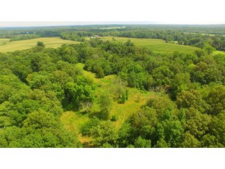 TRACT 66 - ILLINOIS LAND AUCTION - 4,810+/- ACRES OFFERED IN 85 TRACTS IN FRANKLIN, WILLIAMSON, HAMILTON & SALINE COUNTIES, ILLINOIS